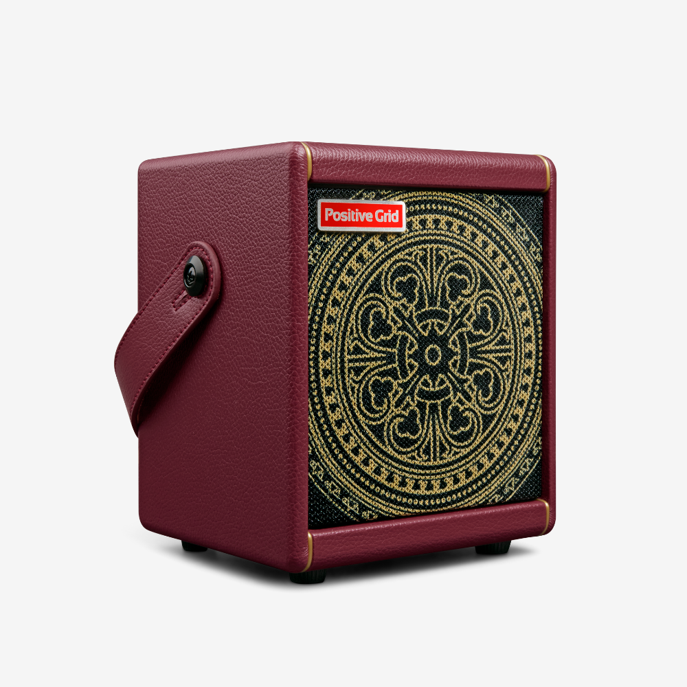 Positive Grid SPARK-MINI-VAI Special Edition 10-Watt Portable