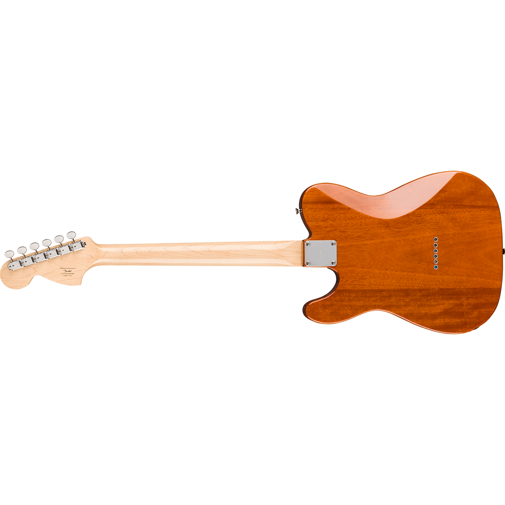 Fender Paranormal Esquire Deluxe (Mocha)