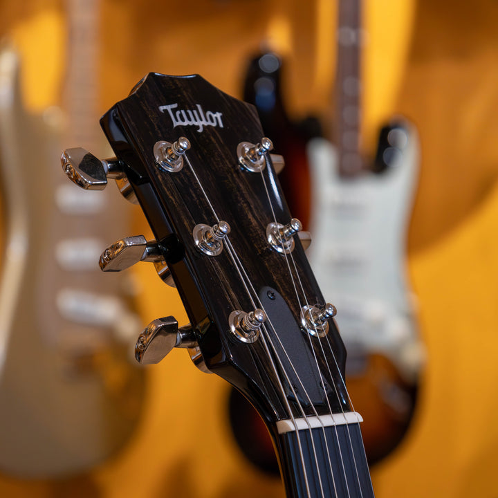 Taylor Guitars T5z Pro Electric Guitar