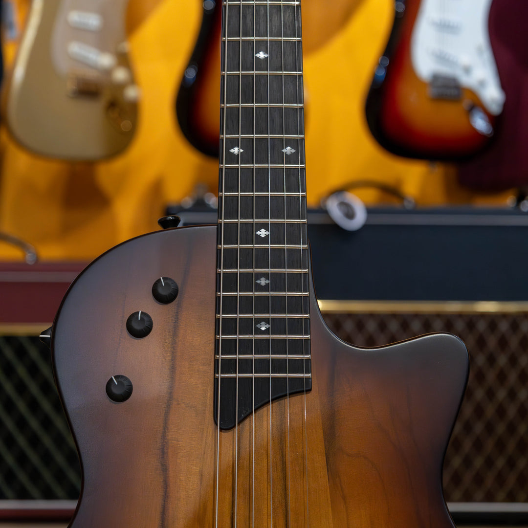 Taylor Guitars T5z Classic - Sassafras, Tropical Mahogany Neck, West African Crelicam Ebony Fretboard with AeroCase
