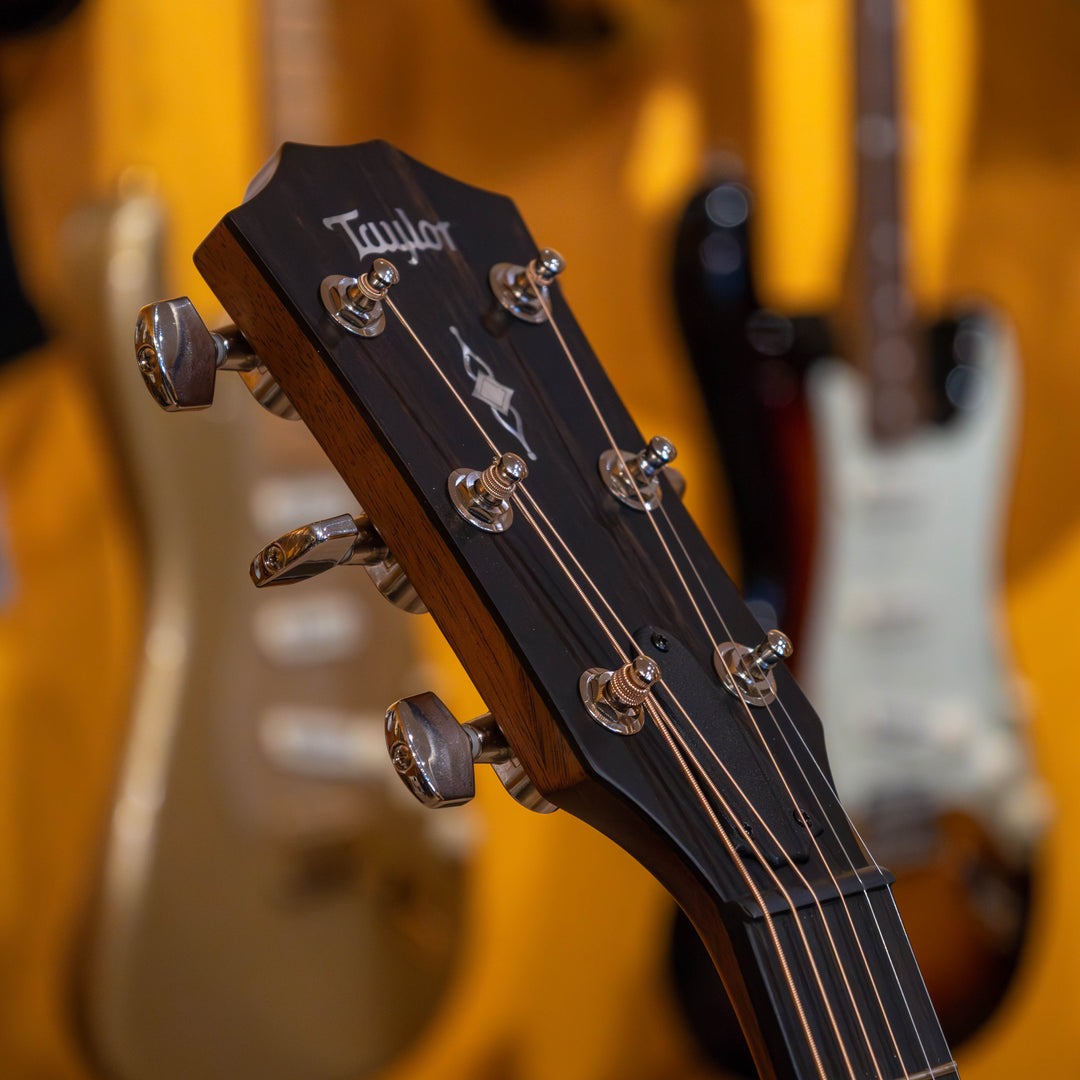 Taylor 314ce RW Solid Indian Rosewood Special-Edition Grand Auditorium