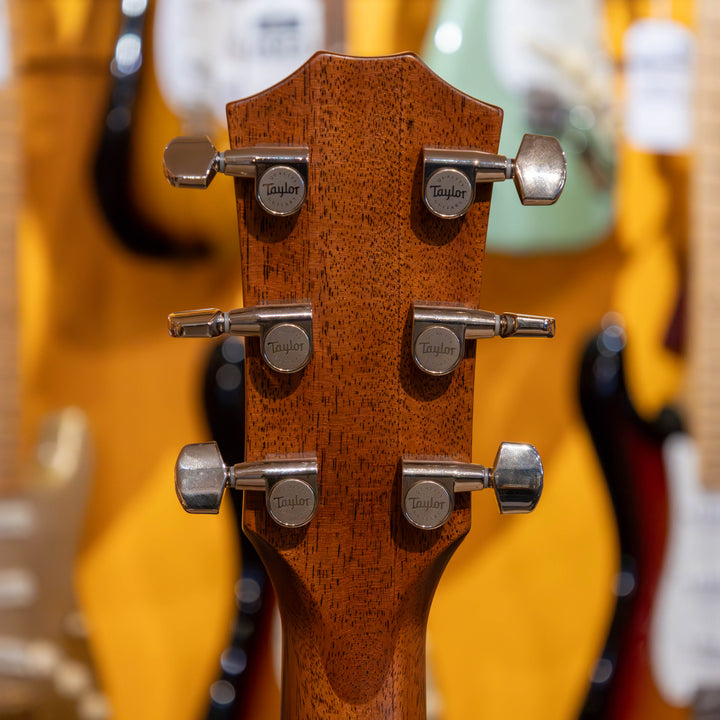 Taylor 314ce RW Solid Indian Rosewood Special-Edition Grand Auditorium