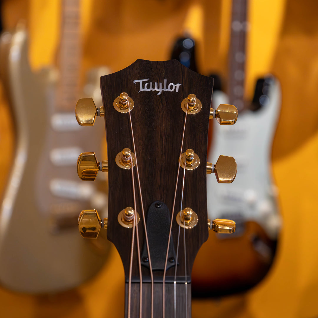 Taylor 50th Anniv. AD14ce LTD Spruce Walnut Acoustic Electric Guitar