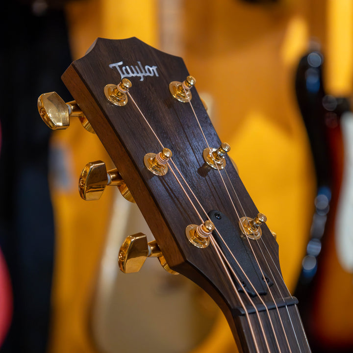 Taylor 50th Anniv. AD14ce LTD Spruce Walnut Acoustic Electric Guitar