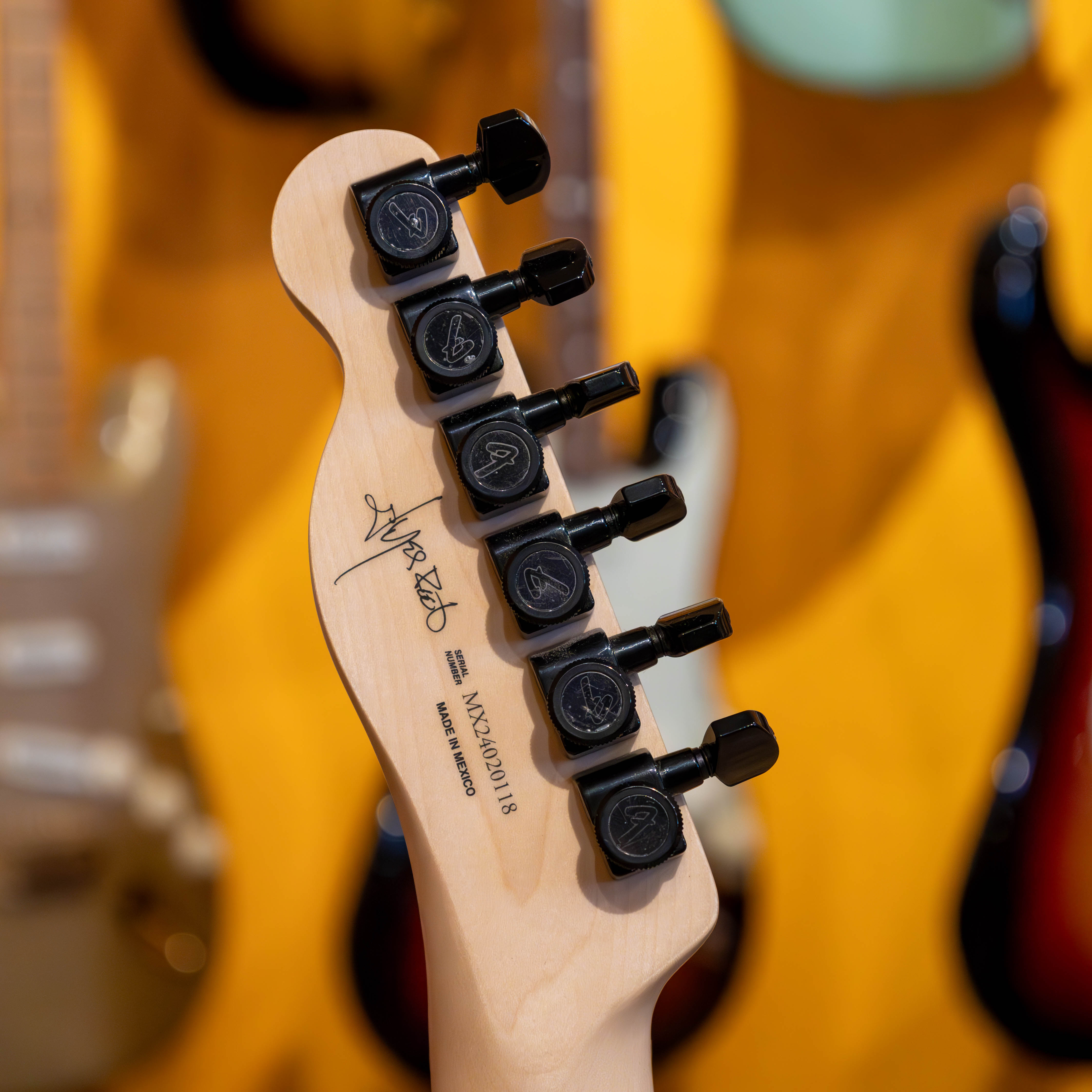 Fender Jim Root Telecaster (Flat White) Electric Guitar – Music