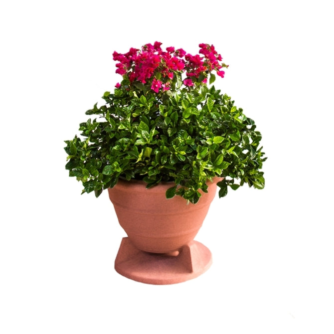 Rockustics 6.5 Omnidirectional Outdoor Speaker in Terra Cotta