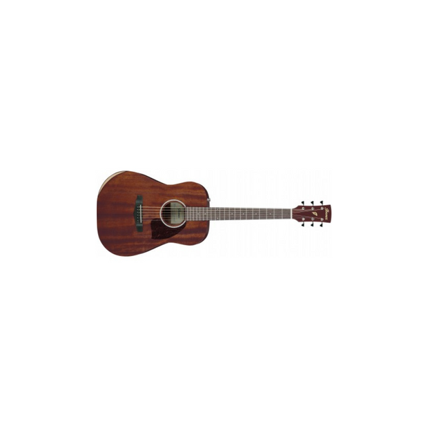 Ibanez PF Acoustic Guitars - Open Natural Pore