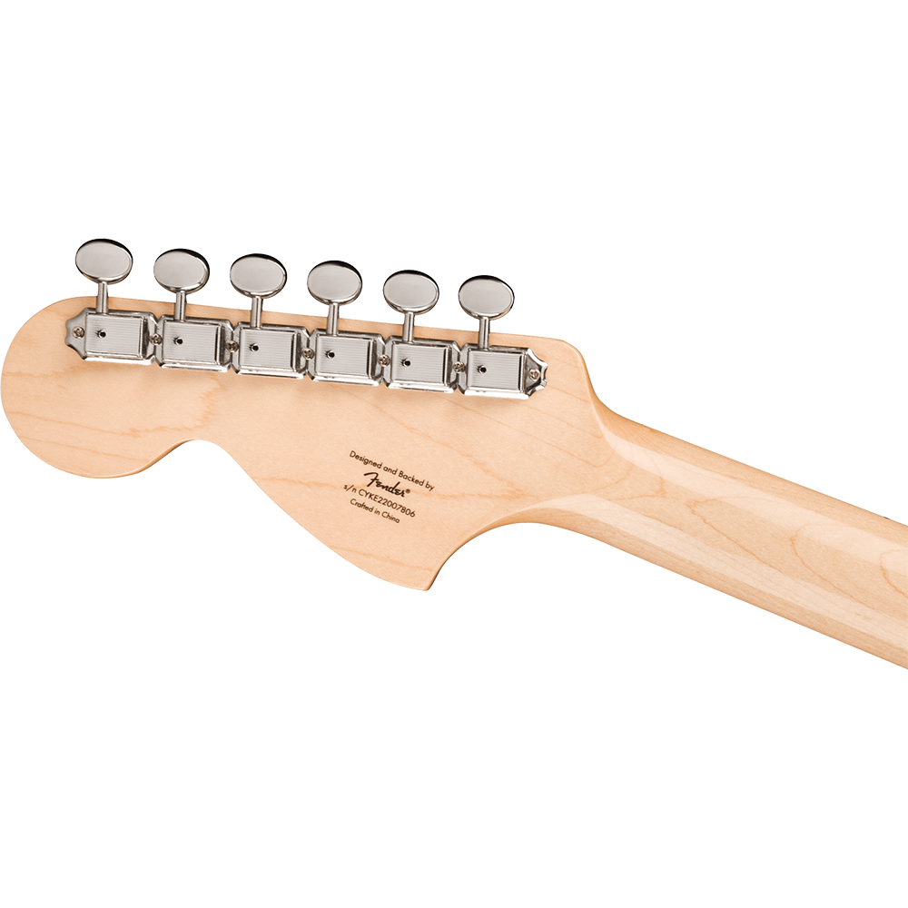 Fender Paranormal Esquire Deluxe (Black)