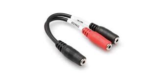 Hosa Technology YMM-379 Stereo Mini Female to 2 Mini Female Y-Cable - 6in