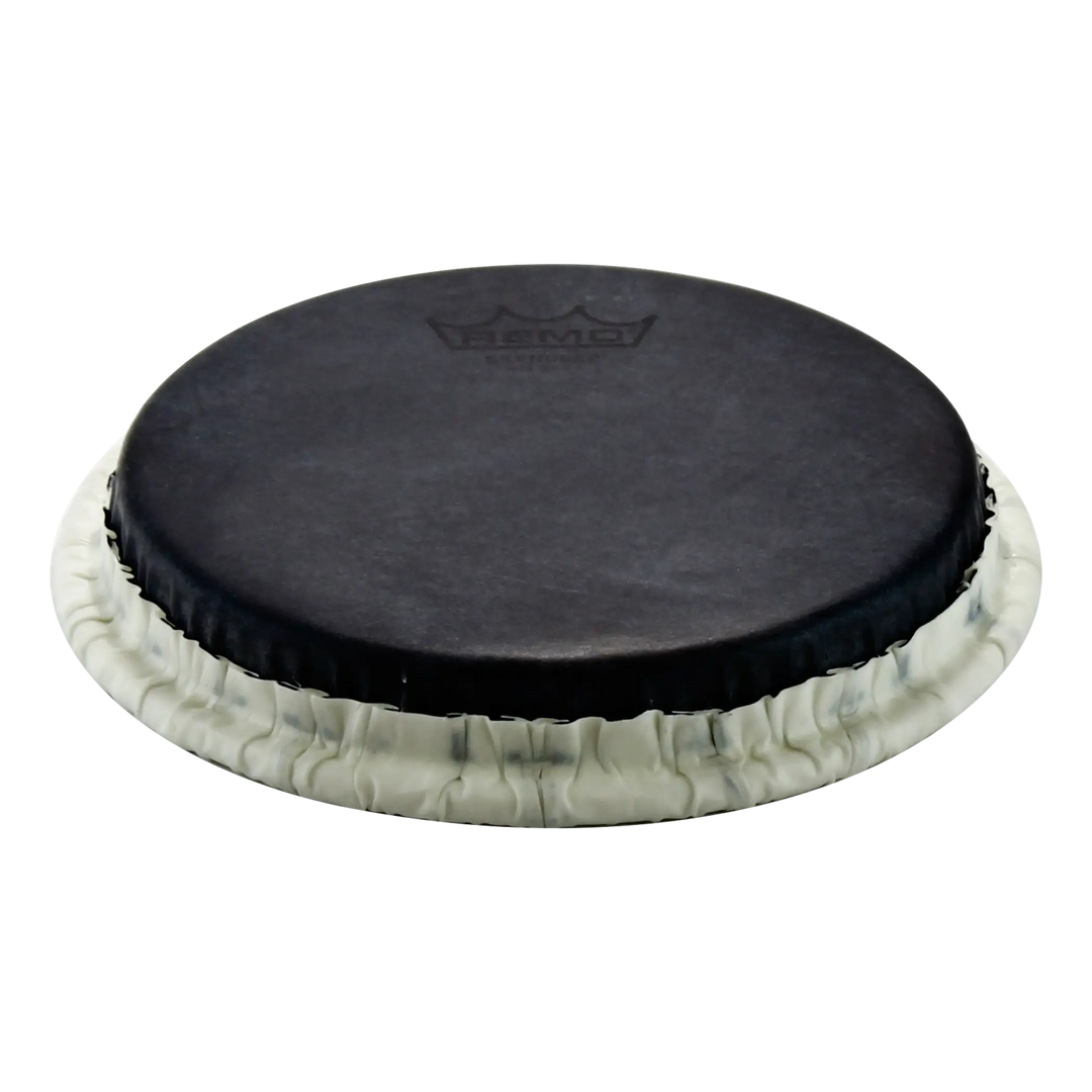 Gon Bops Dhrq1325b - Roberto Quintero Remo Skyndeep Black Graphic Super Rumba Drum Head - 13.25â€