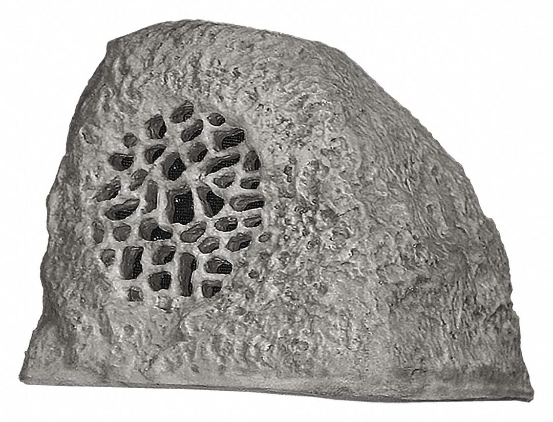 Rockustics 5.25 Two-way Outdoor Coconutz Speaker