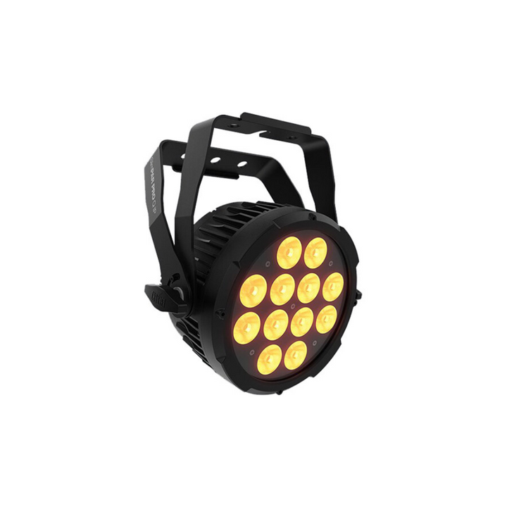 Chauvet SlimPar Pro Q IP Par Fixture