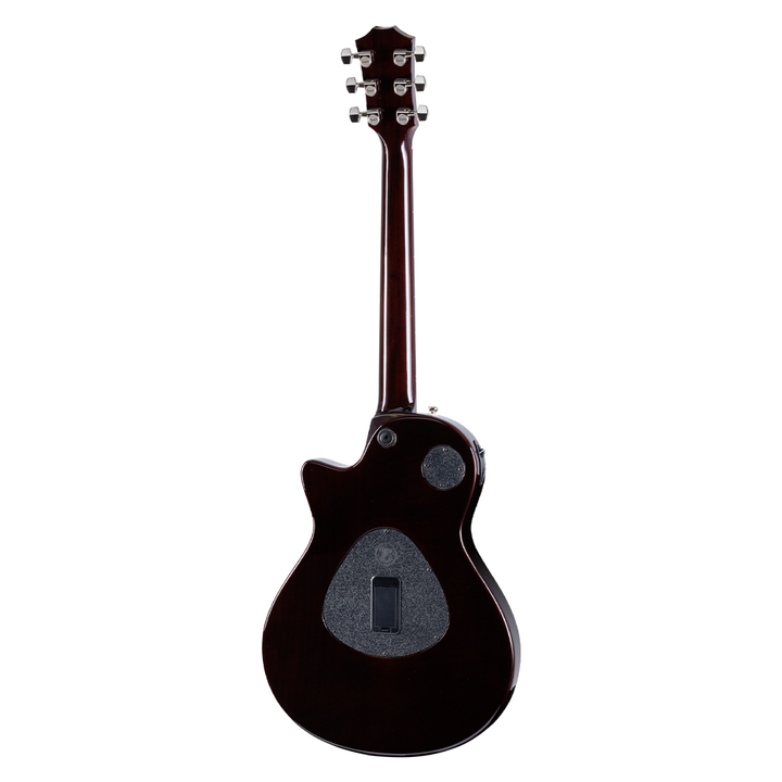 Taylor T5z ProAcoustic-Electric Guitar