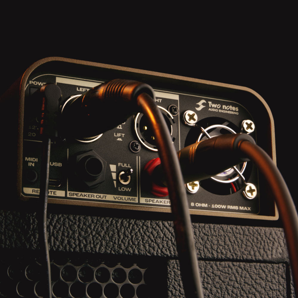 Two Notes Torpedo Captor X SE (Special Edition)