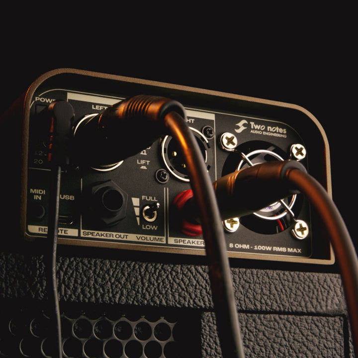 Two Notes Torpedo Captor X SE (Special Edition)