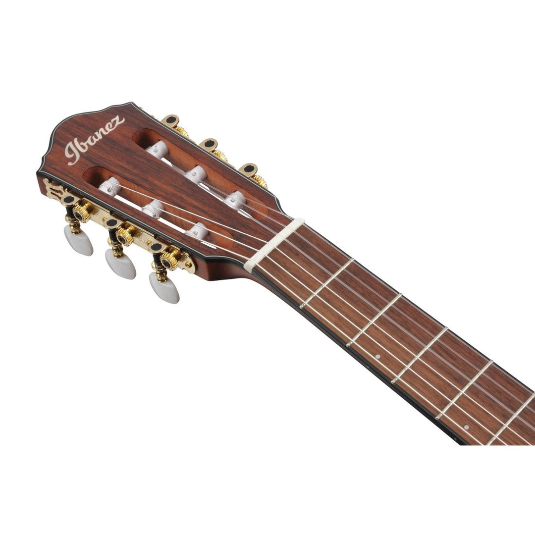 Ibanez FRH Acoustic/Electric (Rose Gold Metallic Flat) FRH10NRGF