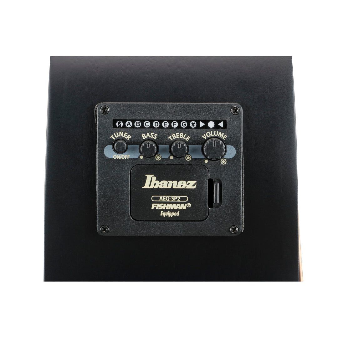 Ibanez Acoustic/Electric (Black Out) AEG721BOT