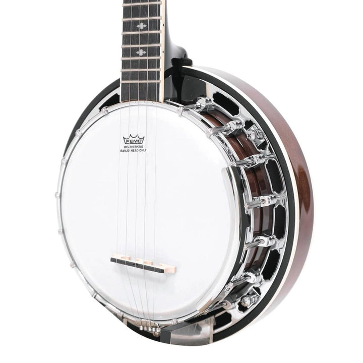 Gold Tone Gt Bluegrass Mini Banjo Left-Handed with Gig Bag