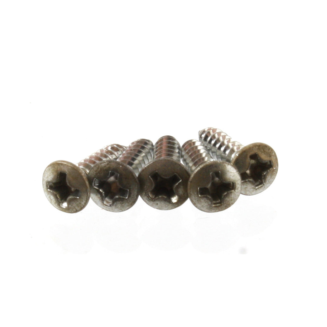 Allparts GS-0001 Standard Pickguard Screws Aged Finish