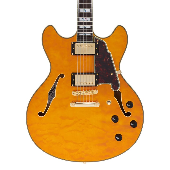 D'Angelico Double Cut Semi-Hollow