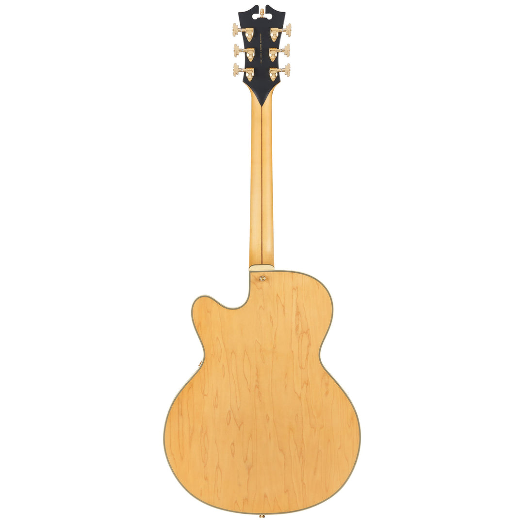 D'Angelico Fully Hollow Body Single Cutaway