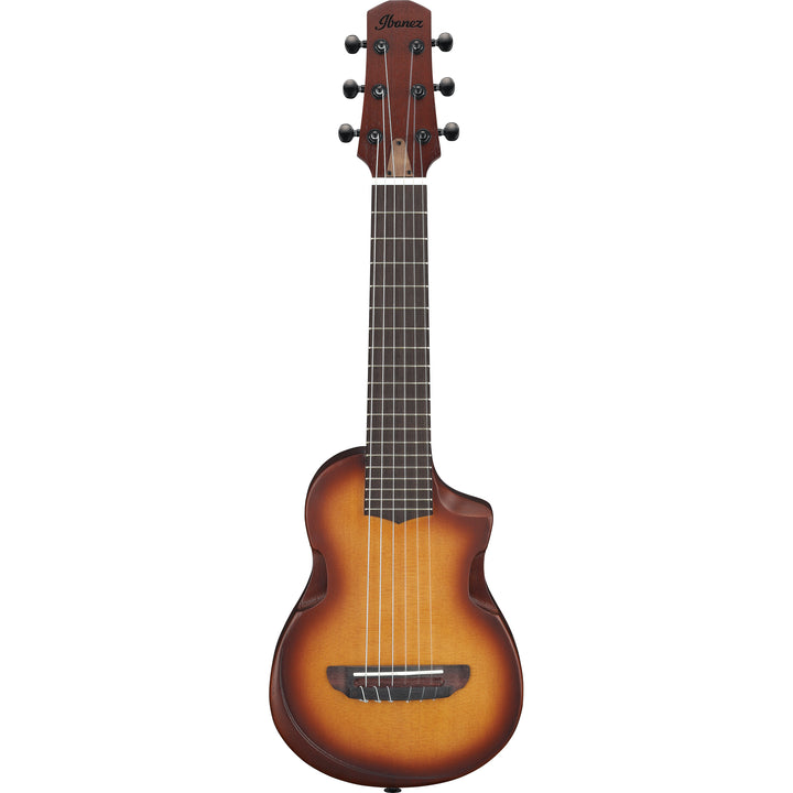 Ibanez AUP10NOLB Acoustic Guitar w/bag - Open Pore Light Brown Sunburst