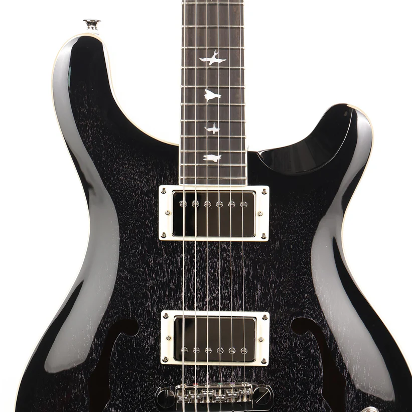 PRS SE Hollowbody Standard Piezo (Dog Hair Smokeburst)  w/ Hardshell Case