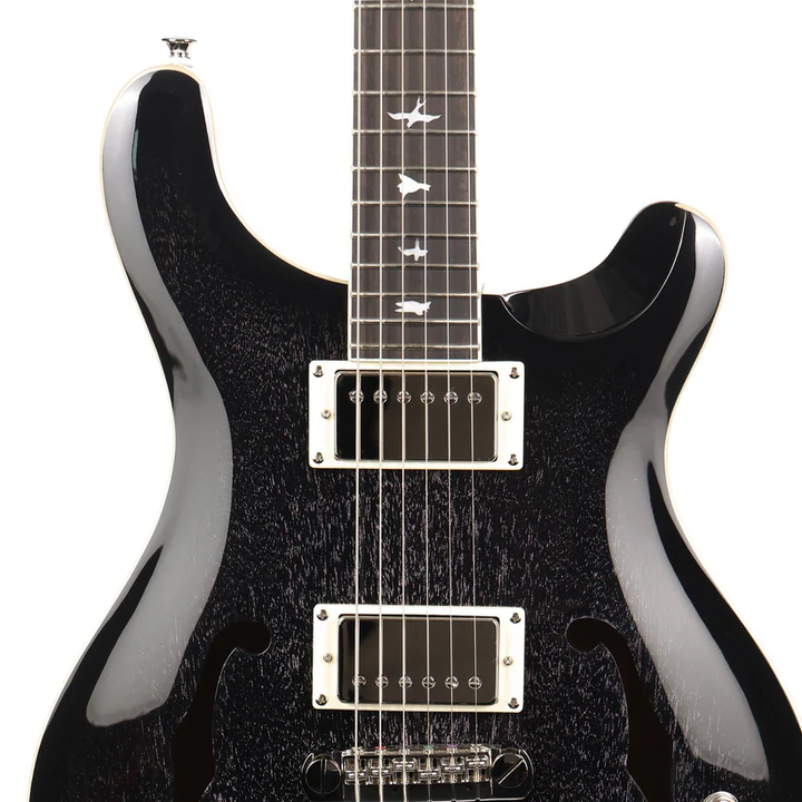 PRS SE Hollowbody Standard Piezo (Dog Hair Smokeburst)  w/ Hardshell Case