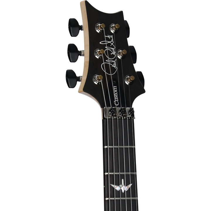 PRS Custom 24 "Floyd" - 10 Top  (Aurora Borealis)