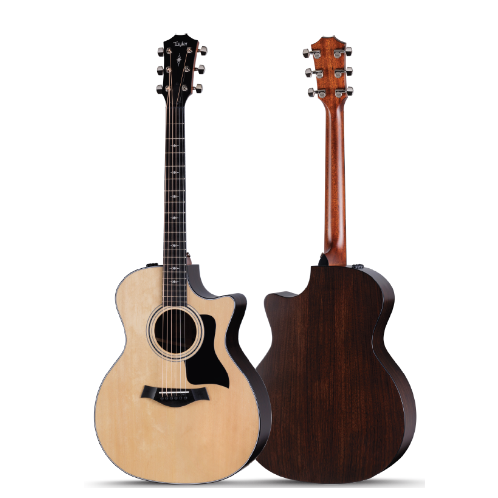 Taylor 314ce RW Solid Indian Rosewood Special-Edition Grand Auditorium