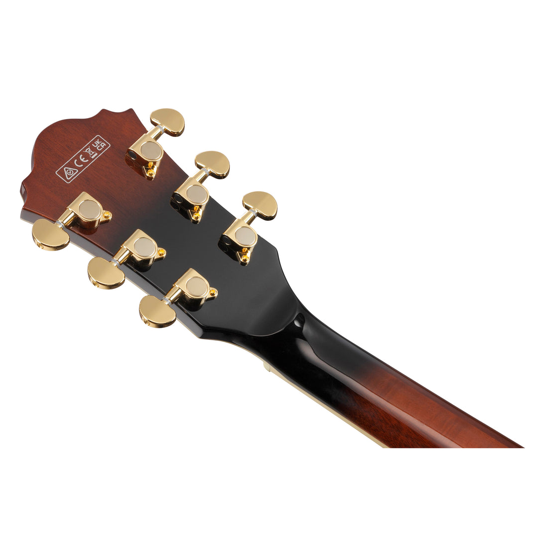 Ibanez AS Artcore Expressionist (Dark Brown Sunburst) AS93QMSPDBS