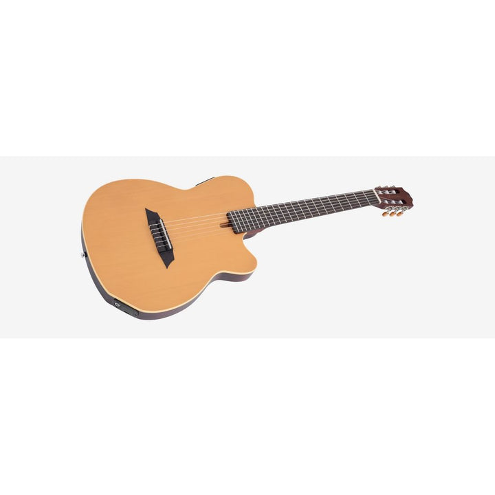 Sire Larry Carlton G5N (Natural) G5N-NTS