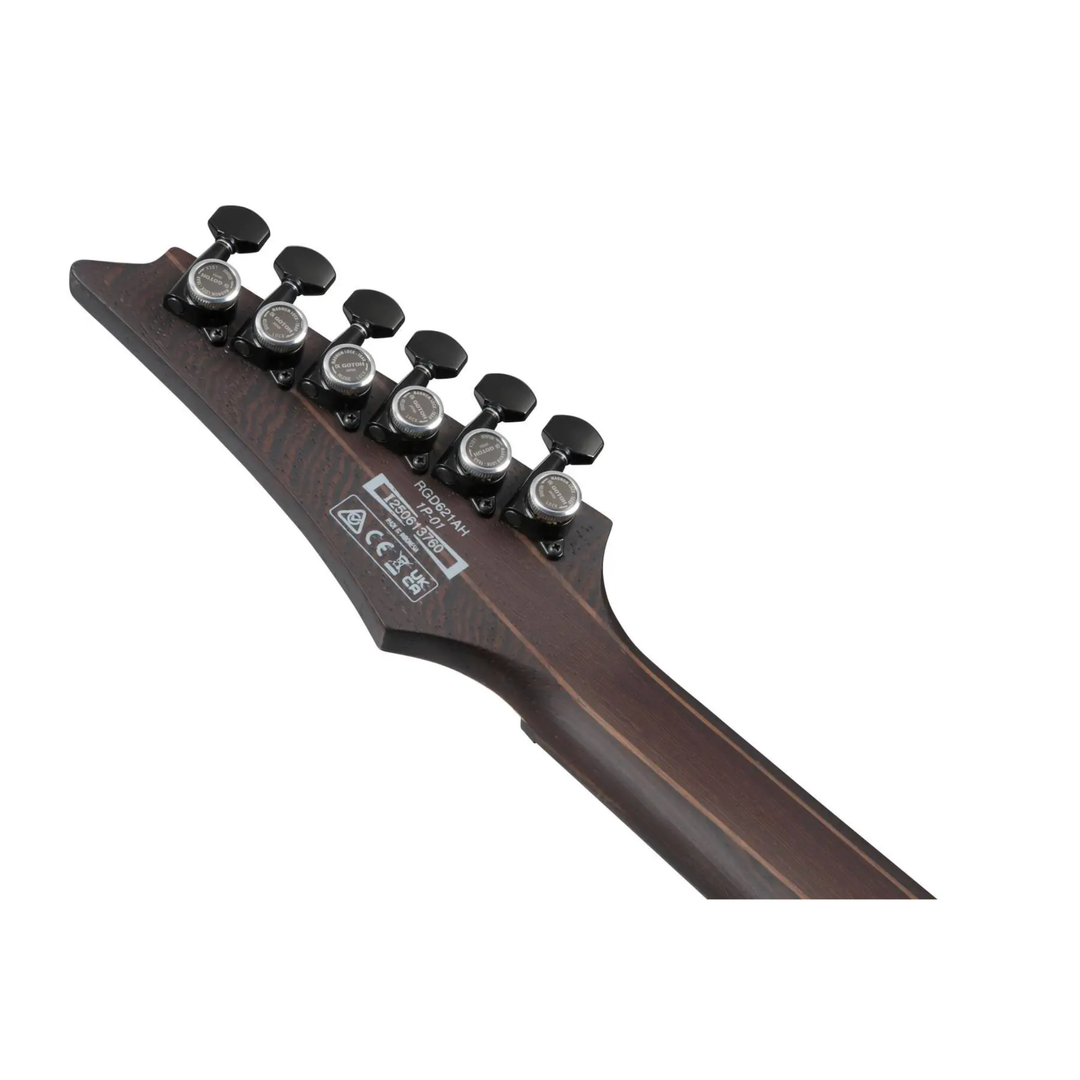 Ibanez RGD621AHMNF RGD Electric Guitar (Midnight Shade Flat)