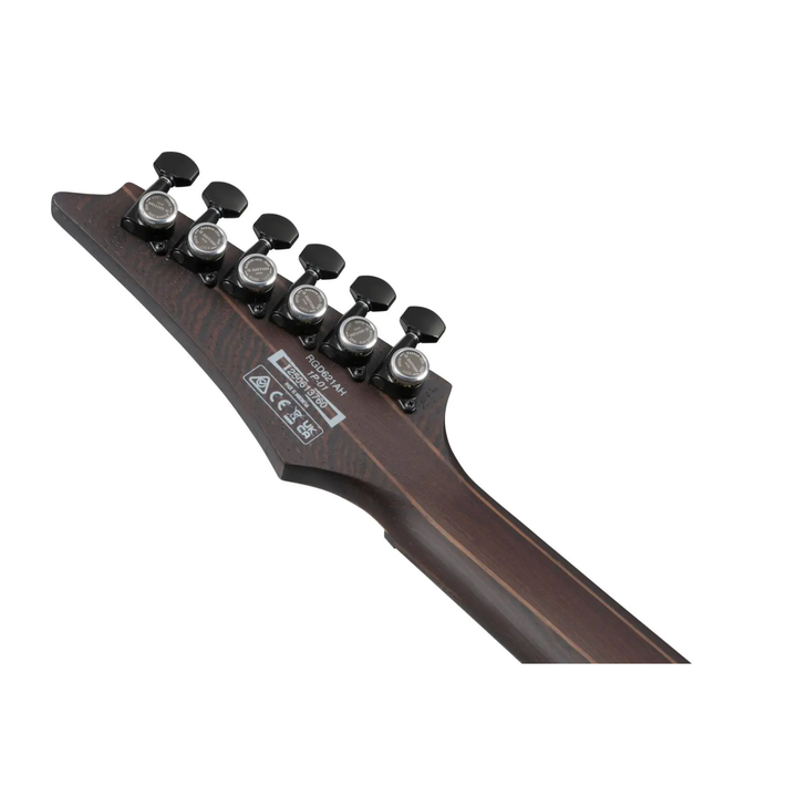 Ibanez RGD621AHMNF RGD Electric Guitar (Midnight Shade Flat)
