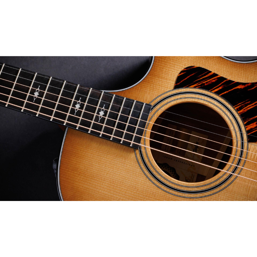 Taylor 50th Anniv. 314ce LTD Grand Auditorium Sapele/Torrefied Spruce Acoustic Electric Guitar