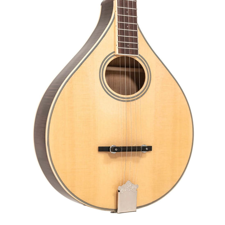 Gold Tone Gt Banjola+ W/Pu & Gig