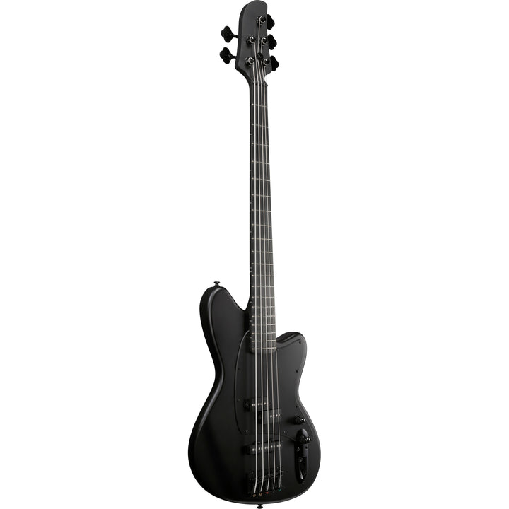 Ibanez Talman Standard 5-String Bass (Black Flat) TMB425BBKF