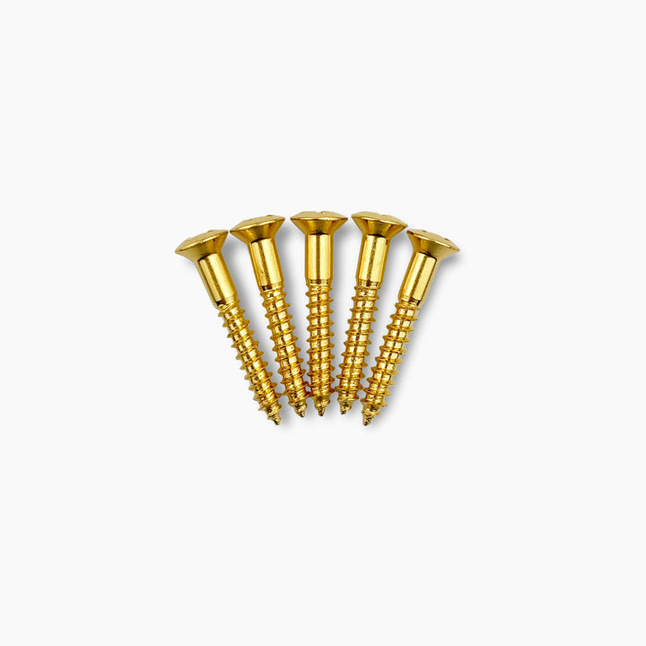 Allparts GS-3364-B02 Bulk Pack Gold 1-Inch Bridge Mounting Screws (Qty 50)