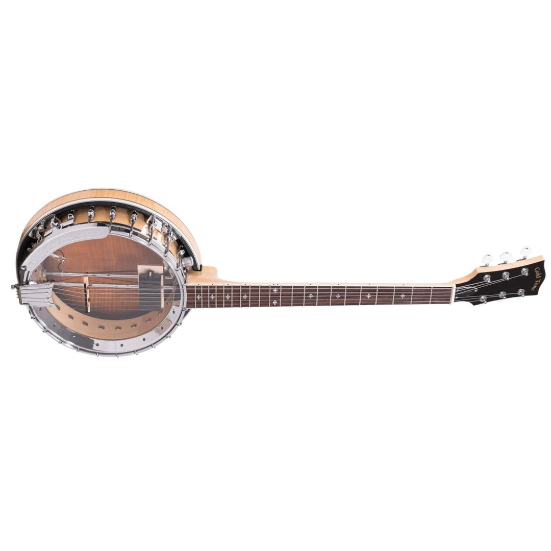 Gold Tone Banjitar Deluxe with Case