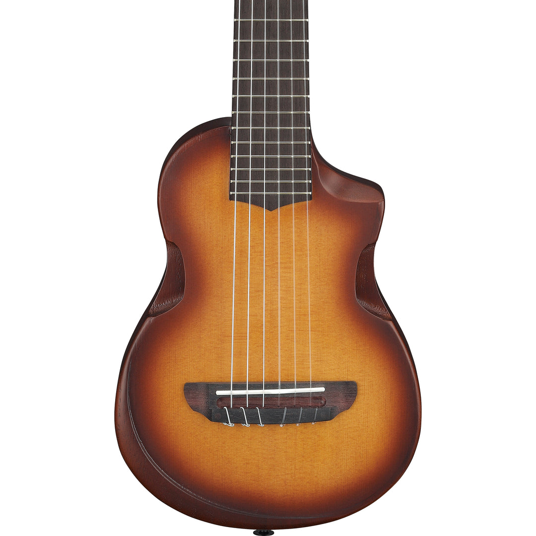 Ibanez AUP10NOLB Acoustic Guitar w/bag - Open Pore Light Brown Sunburst