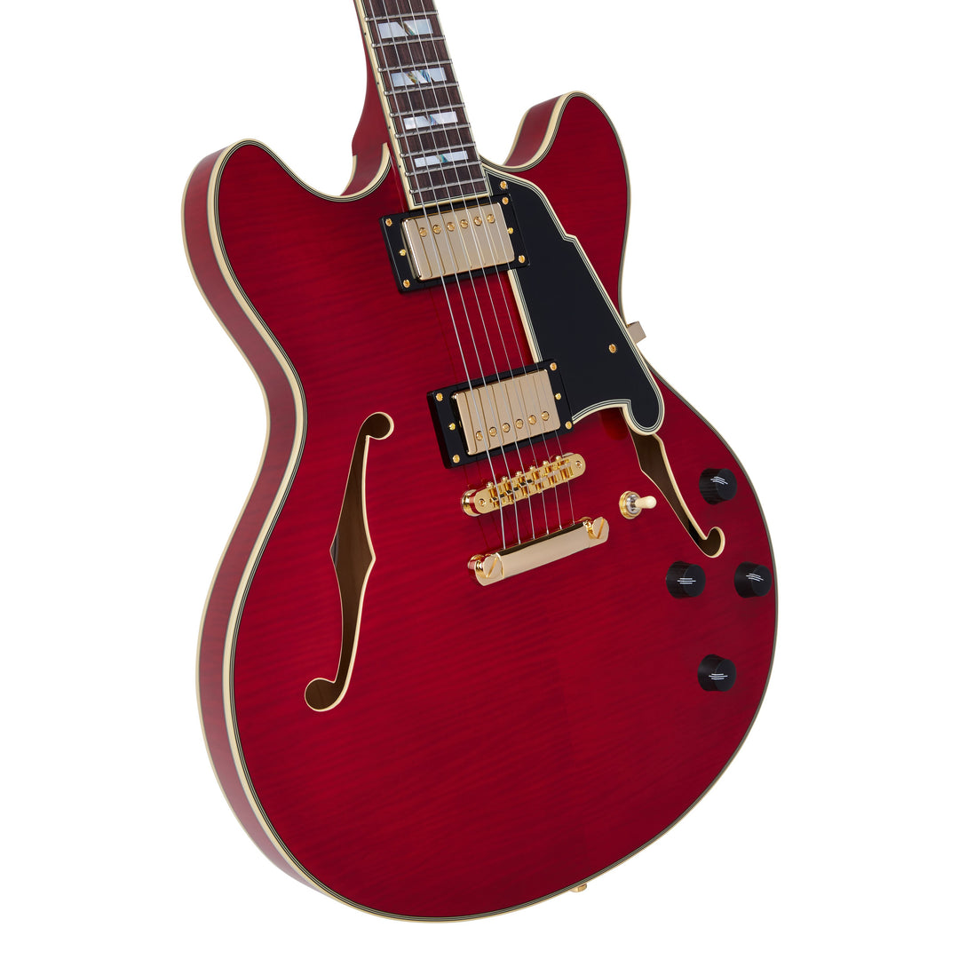 D'Angelico  Double Cut Semi-Hollow