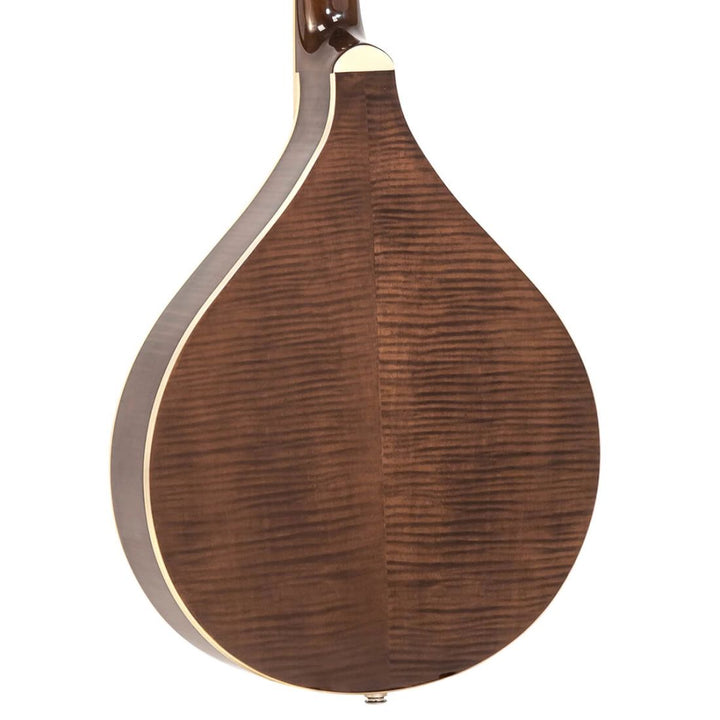 Gold Tone Gt Banjola+ W/Pu & Gig