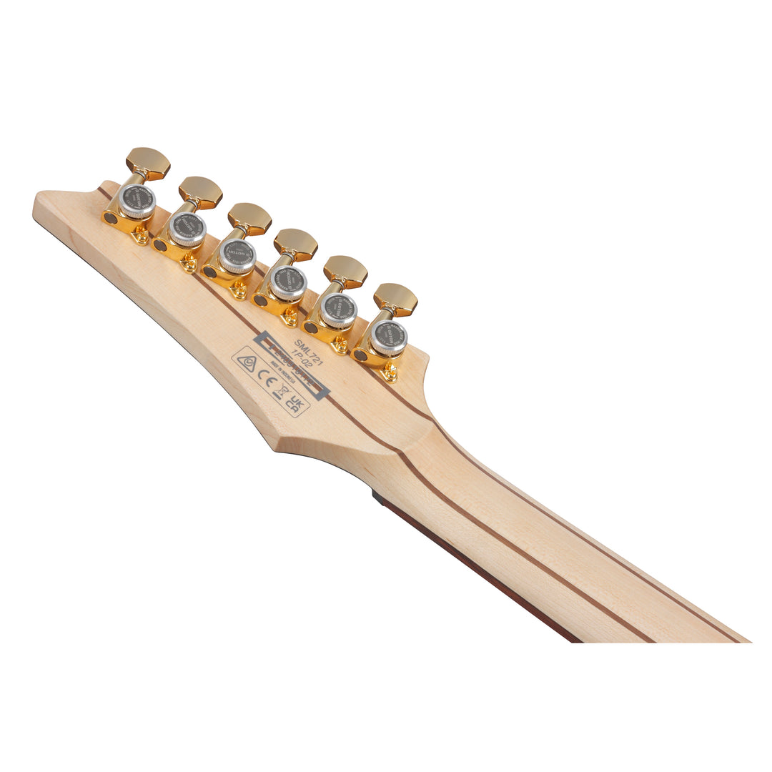 Ibanez Axe Design Lab Multi-Scale (Midnight Arctic Ocean Matte) SML721MAM