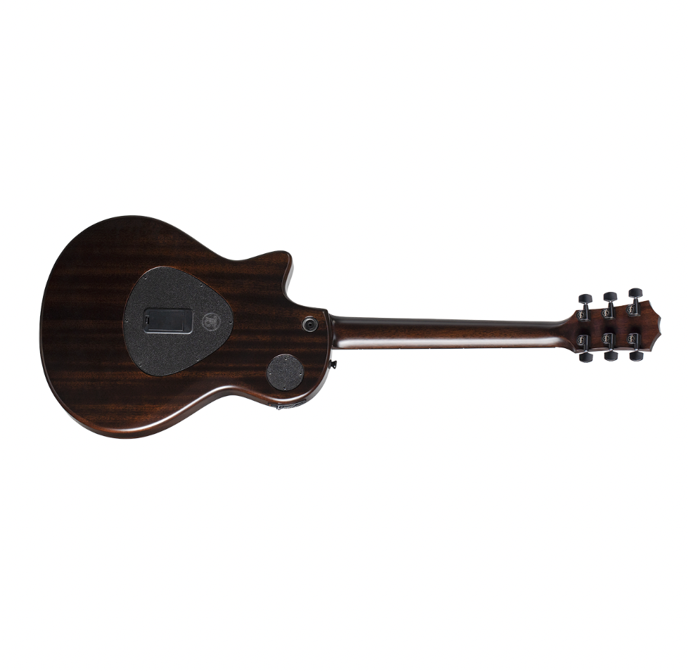 Taylor Guitars T5z Classic - Rosewood, Tropical Mahogany Neck, Ebony Fretboard with AeroCase