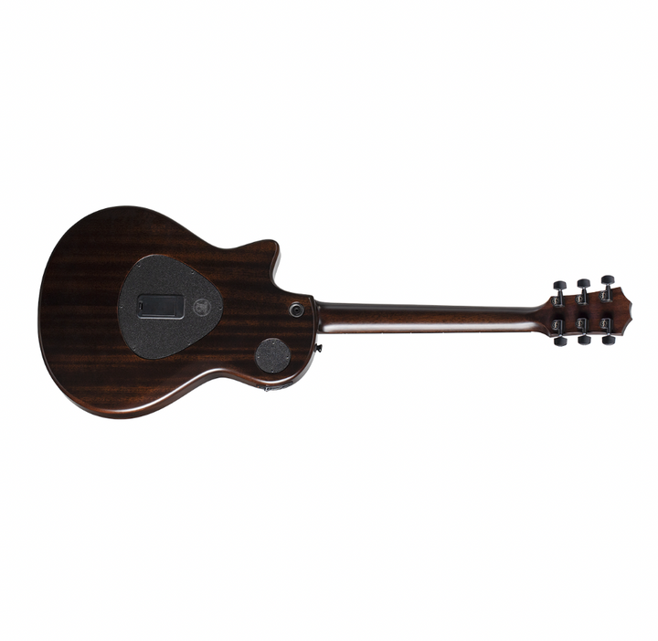 Taylor Guitars T5z Classic - Rosewood, Tropical Mahogany Neck, Ebony Fretboard with AeroCase