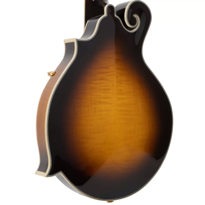 Gold Tone F-style Mando-Guitar with Pickup, Volume Control and Case