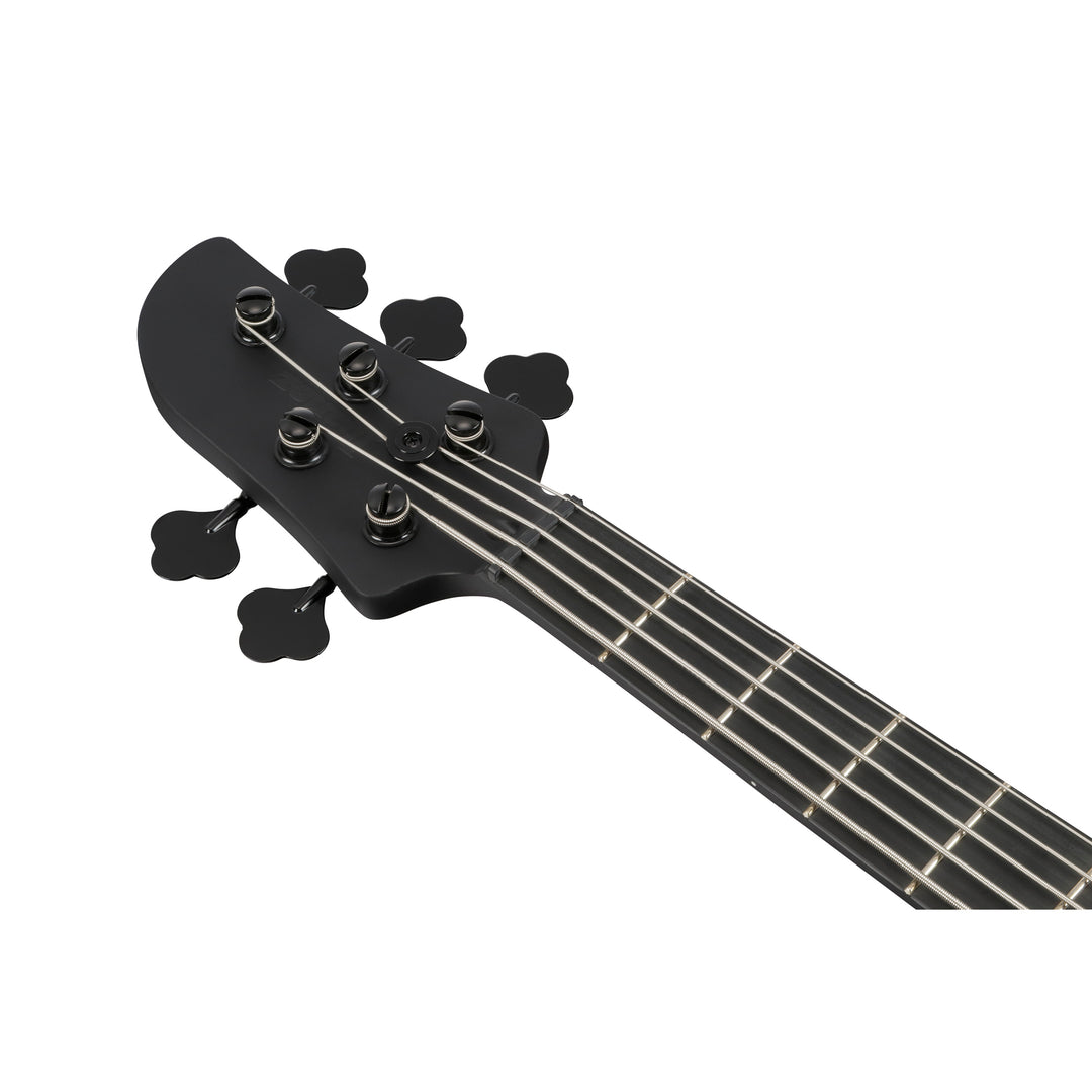 Ibanez Talman Standard 5-String Bass (Black Flat) TMB425BBKF