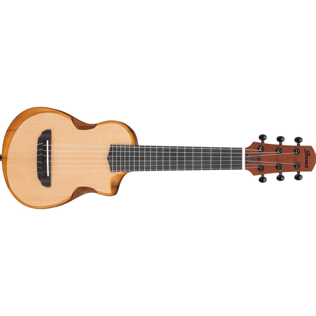 Ibanez Open Pore Compact Acoustic Guitar with Gigbag - Natural