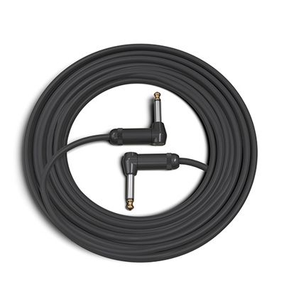 D'Addario PW-AMSGRR-30 American Stage Inst  Rr 30Ft