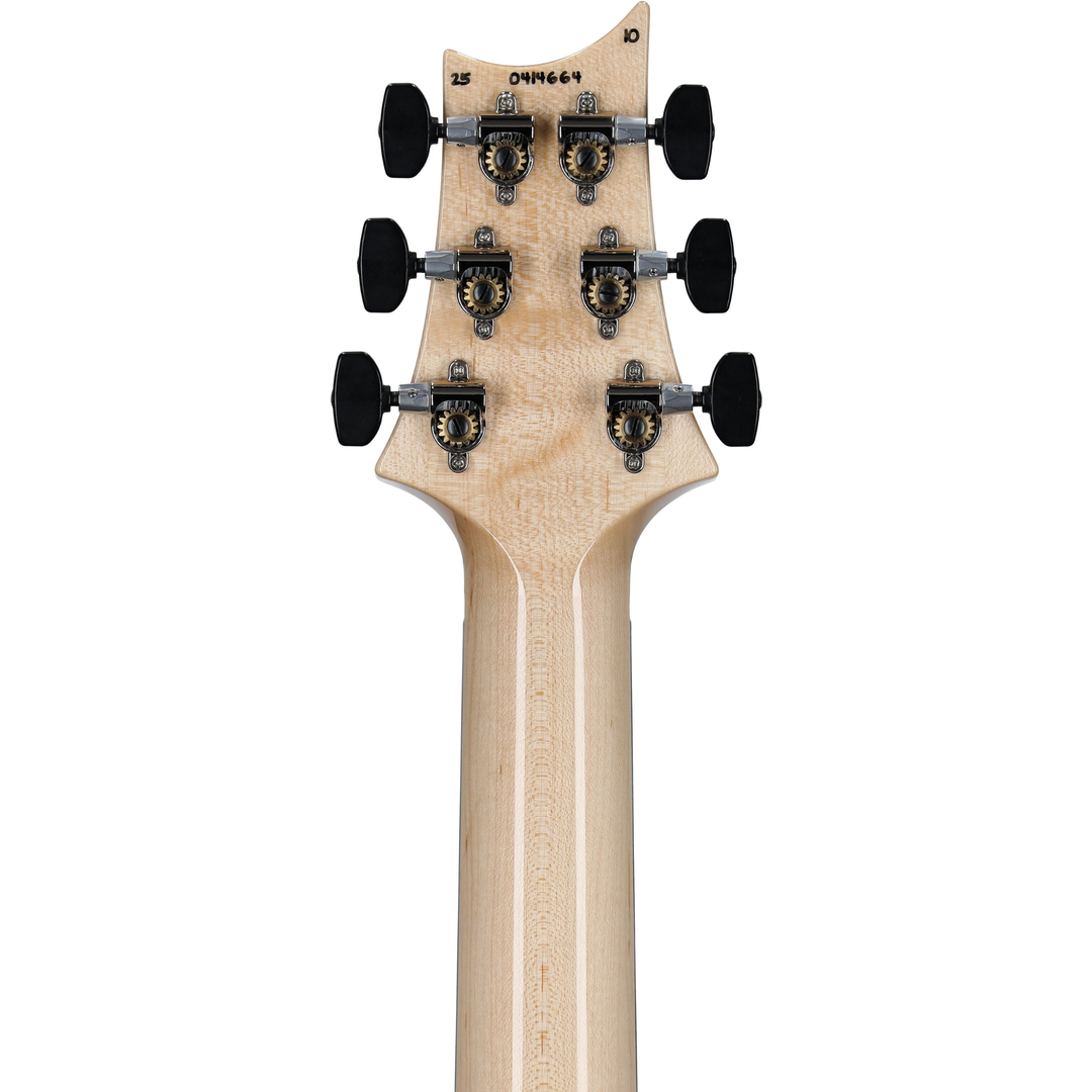 PRS Custom 24 "Floyd" - 10 Top  (Aurora Borealis)